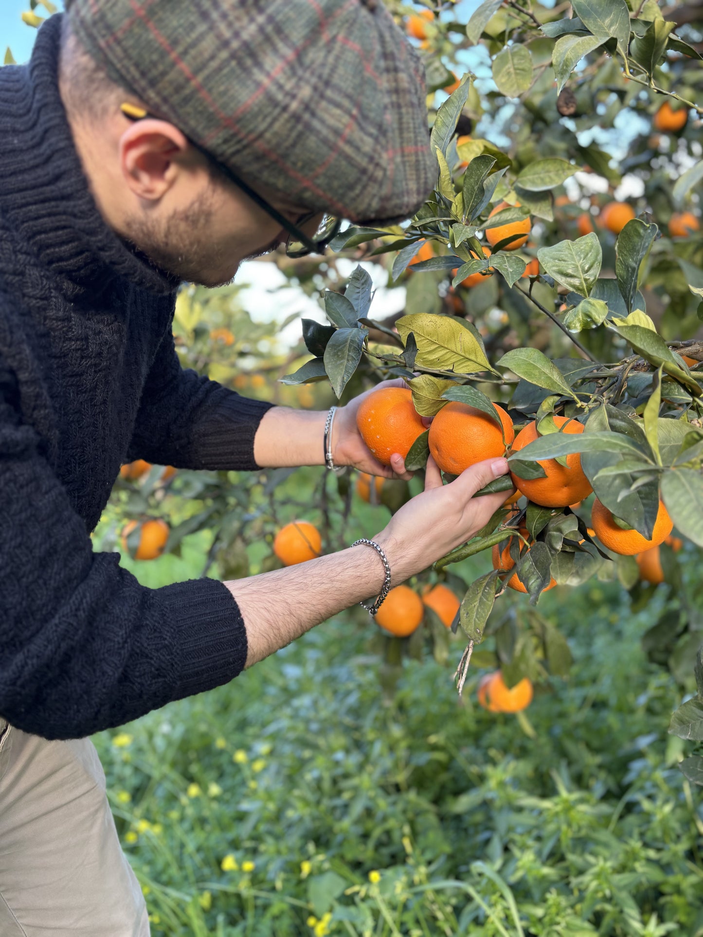 CASSETTA MISTA - Arance e Limoni 🍊🍋