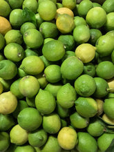 Load image into Gallery viewer, Sicilian Lemons 9 kg